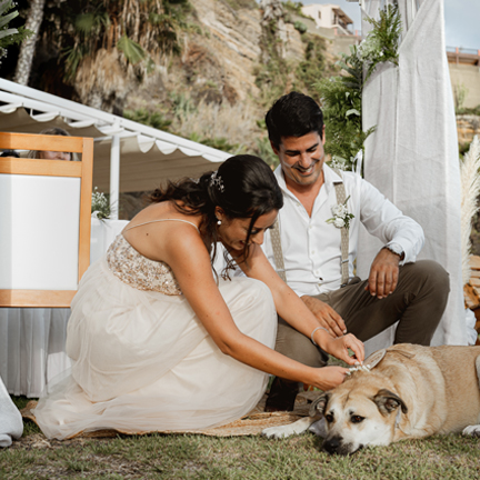 Events at Orca Praia